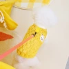 Wholesale of pet clothes, dog clothing, autumn and winter pet supplies, Teddy cat cotton-padded clothes, 23 scarab velvet vests details Picture